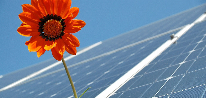 Photovoltaik Anlage mit Sonnenblume